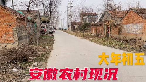 乡村爱情第八部,剧情解析与角色深度挖掘-农村生活喜剧新篇章-第5张图片-佛山资讯网