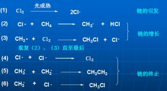 家庭园艺种植技巧,打造绿色生活空间-详细种植指南-第4张图片-佛山资讯网 家庭园艺种植技巧,打造绿色生活空间-详细种植指南-第4张图片-佛山资讯网