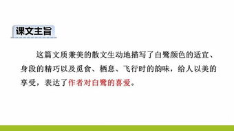 优化无人在线观看高清电影电视剧动漫体验-提升画质与流畅度解析-第5张图片-佛山资讯网