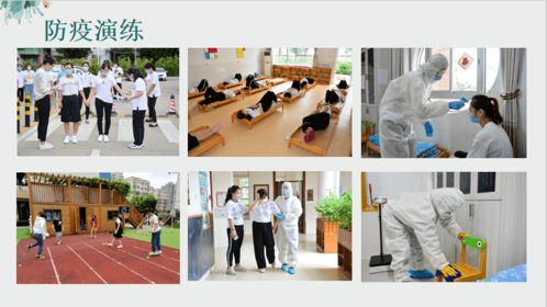 三叶草免费在线观看完整版-合法资源与观影技巧-第3张图片-佛山资讯网 三叶草免费在线观看完整版-合法资源与观影技巧-第3张图片-佛山资讯网