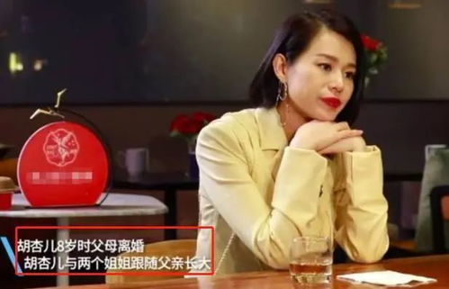 女友的妈妈,相处之道-构建和谐关系的策略解析-第1张图片-佛山资讯网