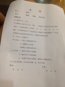 专业保姆选择与服务标准-家庭雇佣保姆指南-第3张图片-佛山资讯网
