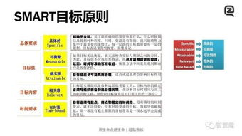 49日时间管理,高效工作策略-提升生产力解析-第1张图片-佛山资讯网 49日时间管理,高效工作策略-提升生产力解析-第1张图片-佛山资讯网