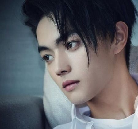 爱奇艺许凯主演电视剧免费观看全攻略-剧集列表与观看方法解析-第4张图片-佛山资讯网