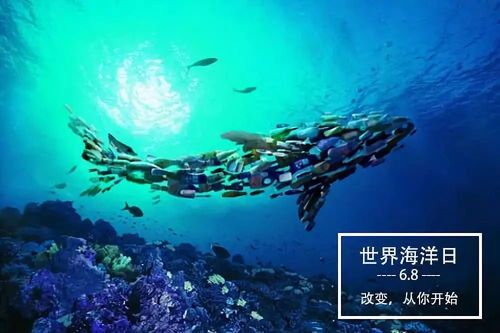 海上繁花,探索神秘海洋之美-佳期如梦之旅-第3张图片-佛山资讯网