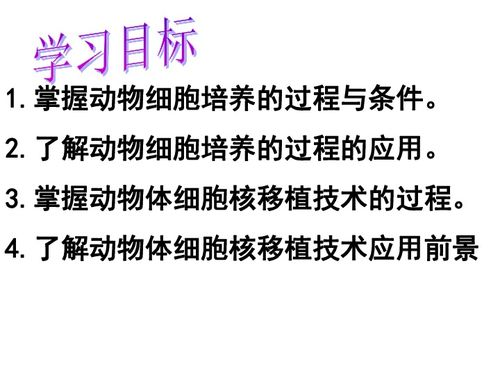 温柔的交换，构建和谐人际关系-沟通技巧与实践指南-第3张图片-佛山资讯网