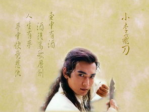 多情剑客无情剑,探秘武侠世界中的传奇剑法-剑法精髓解析-第2张图片-佛山资讯网