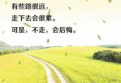 风雨兼程,人生相逢-逆境中的SEO策略解析-第1张图片-佛山资讯网 风雨兼程,人生相逢-逆境中的SEO策略解析-第1张图片-佛山资讯网