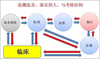 年轻女医生,职业挑战与平衡之道-医学界的新生力量-第2张图片-佛山资讯网 年轻女医生,职业挑战与平衡之道-医学界的新生力量-第2张图片-佛山资讯网