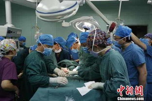 年轻女医生,职业挑战与平衡之道-医学界的新生力量-第3张图片-佛山资讯网 年轻女医生,职业挑战与平衡之道-医学界的新生力量-第3张图片-佛山资讯网