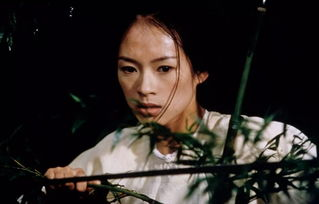 《芈月传》演员表及角色解析-精彩演绎历史传奇-第5张图片-佛山资讯网 《芈月传》演员表及角色解析-精彩演绎历史传奇-第5张图片-佛山资讯网