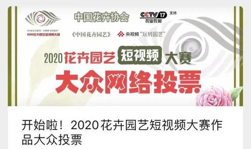 36集电视剧免费观看,安全合法的观影指南-第2张图片-佛山资讯网 36集电视剧免费观看,安全合法的观影指南-第2张图片-佛山资讯网