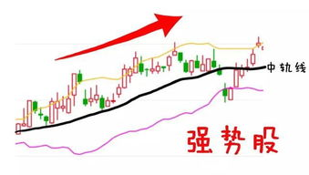 《母亲》韩剧国语版免费观看全攻略-中文解说与合法途径-第2张图片-佛山资讯网