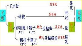 《斗罗大陆2绝世唐门》深度解析-人物与情节魅力探究-第2张图片-佛山资讯网 《斗罗大陆2绝世唐门》深度解析-人物与情节魅力探究-第2张图片-佛山资讯网