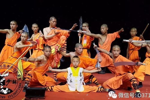 嵩山少林寺历史与文化传承-探寻武术与禅宗的起源-第3张图片-佛山资讯网 嵩山少林寺历史与文化传承-探寻武术与禅宗的起源-第3张图片-佛山资讯网