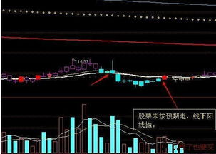现代爱恋,数字化时代的情感探索-建立健康关系的策略-第3张图片-佛山资讯网 现代爱恋,数字化时代的情感探索-建立健康关系的策略-第3张图片-佛山资讯网