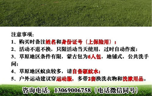 夜夜草功效与使用方法-传统草药的现代化解析-第3张图片-佛山资讯网
