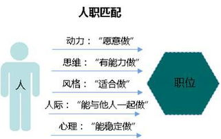 优质网络电影，尺度合理-观影体验全面提升-第3张图片-佛山资讯网