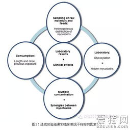 神医毒妃:宫廷医术与毒性策略解析-第3张图片-佛山资讯网 神医毒妃:宫廷医术与毒性策略解析-第3张图片-佛山资讯网