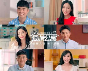 合法观看《爱情公寓1》全集免费视频攻略-高清剧集在线解析-第3张图片-佛山资讯网