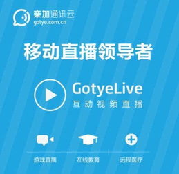 2022世界杯直播央视,观赛指南-如何畅享足球盛宴-第5张图片-佛山资讯网