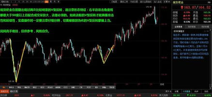 我和黑大佬的365天完整版结局,揭秘背后的真相-第3张图片-佛山资讯网 我和黑大佬的365天完整版结局,揭秘背后的真相-第3张图片-佛山资讯网