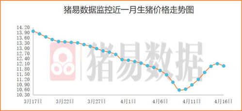 合法强肉,食品安全保障-合规肉品质量提升策略-第5张图片-佛山资讯网 合法强肉,食品安全保障-合规肉品质量提升策略-第5张图片-佛山资讯网