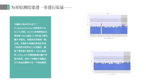 成色好的y31s标准版,性价比之选-购买指南与成色鉴别-第2张图片-佛山资讯网 成色好的y31s标准版,性价比之选-购买指南与成色鉴别-第2张图片-佛山资讯网