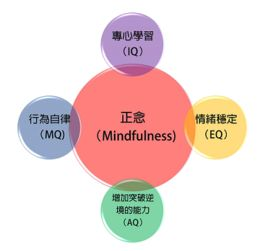 指尖传出的热情,时间维度下的情感波动解析-维持热情的秘诀-第3张图片-佛山资讯网 指尖传出的热情,时间维度下的情感波动解析-维持热情的秘诀-第3张图片-佛山资讯网