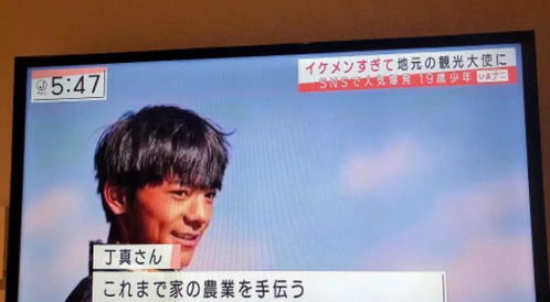 gogogo日本免费观看电视全攻略-轻松享受高清电视体验-第2张图片-佛山资讯网 gogogo日本免费观看电视全攻略-轻松享受高清电视体验-第2张图片-佛山资讯网