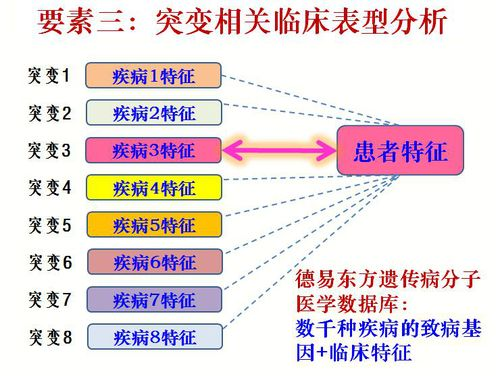 《中国好声音》影响力分析与成功秘诀-音乐选秀节目深度解析-第2张图片-佛山资讯网 《中国好声音》影响力分析与成功秘诀-音乐选秀节目深度解析-第2张图片-佛山资讯网