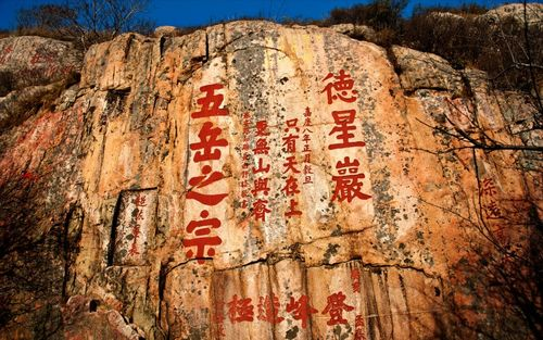 人猿泰山：原始森林的传奇英雄与他的现代启示-第4张图片-佛山资讯网