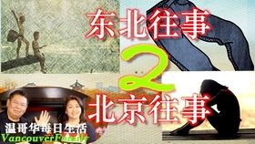 探索日本MV的魅力，精选最好看的日本音乐视频-第4张图片-佛山资讯网