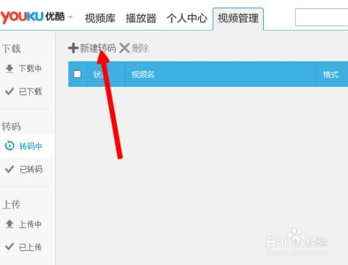 MP4视频下载全攻略-高效安全下载方法解析-第5张图片-佛山资讯网
