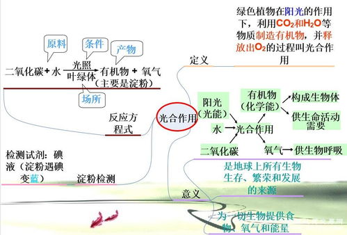 爱情与灵药-情感需求与生理健康的平衡解析-第3张图片-佛山资讯网