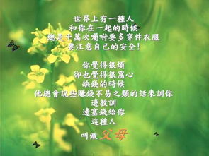 找回消失的初恋记忆,重拾青涩岁月的美好-第5张图片-佛山资讯网 找回消失的初恋记忆,重拾青涩岁月的美好-第5张图片-佛山资讯网