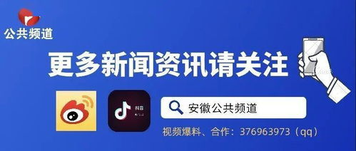 免费在线观看视频的技巧与资源-享受视觉盛宴不花一分钱-第2张图片-佛山资讯网 免费在线观看视频的技巧与资源-享受视觉盛宴不花一分钱-第2张图片-佛山资讯网