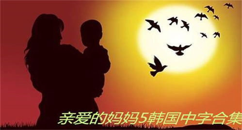亲爱的妈妈5韩国完整版,免费观看指南-观看技巧解析-第1张图片-佛山资讯网 亲爱的妈妈5韩国完整版,免费观看指南-观看技巧解析-第1张图片-佛山资讯网