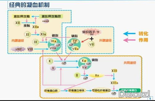 亲爱的妈妈5韩国免费观看完整版-家庭温情剧的魅力解析-第2张图片-佛山资讯网 亲爱的妈妈5韩国免费观看完整版-家庭温情剧的魅力解析-第2张图片-佛山资讯网