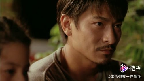 刘德华电影作品盘点-经典影片与不朽形象-第1张图片-佛山资讯网