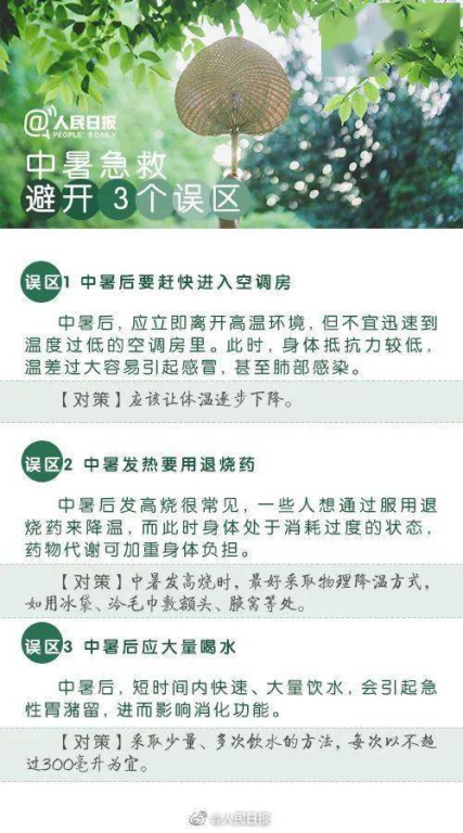 日本电视剧免费观看攻略-线上资源大揭秘-第5张图片-佛山资讯网