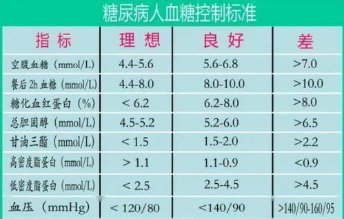 欧洲尺码与日本尺码专线解析-专业尺码转换指南-第1张图片-佛山资讯网 欧洲尺码与日本尺码专线解析-专业尺码转换指南-第1张图片-佛山资讯网