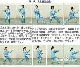 24式简化太极拳带口令视频教程-动作解析与练习要点-第1张图片-佛山资讯网