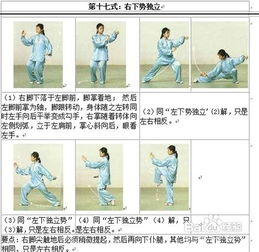 24式简化太极拳带口令视频教程-动作解析与练习要点-第2张图片-佛山资讯网