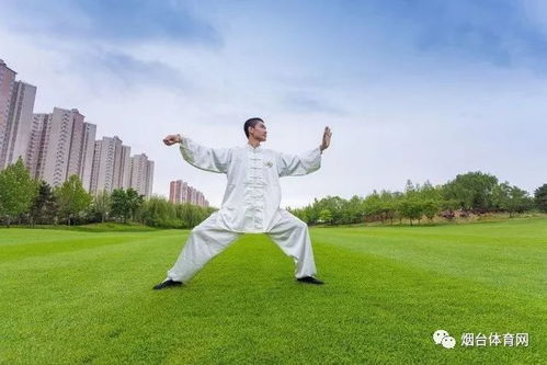 24式简化太极拳带口令视频教程-动作解析与练习要点-第4张图片-佛山资讯网