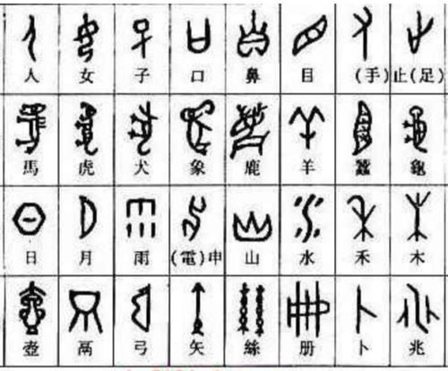 女儿的朋友5中汉字“晋通话”——含义与用法解析-第1张图片-佛山资讯网 女儿的朋友5中汉字“晋通话”——含义与用法解析-第1张图片-佛山资讯网