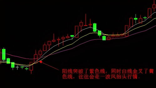 鳞次栉比的城市发展-绿色建筑解决方案解析-第1张图片-佛山资讯网 鳞次栉比的城市发展-绿色建筑解决方案解析-第1张图片-佛山资讯网