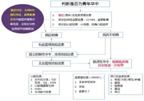 性治疗师,专业服务解析-性健康问题解决方案-第2张图片-佛山资讯网