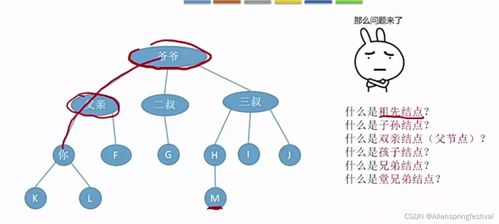 我的朋友5,社交圈层构建-搜索引擎优化策略解析-第1张图片-佛山资讯网 我的朋友5,社交圈层构建-搜索引擎优化策略解析-第1张图片-佛山资讯网