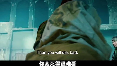 五号特工组之偷天换月-特工智慧与勇气的完美体现-第4张图片-佛山资讯网 五号特工组之偷天换月-特工智慧与勇气的完美体现-第4张图片-佛山资讯网